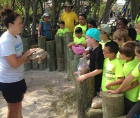 Schedule your Field Trip at Aquarium Encounters today!