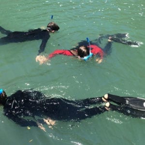 Lagoon Snorkel Encounter