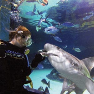 Coral Reef Pre-Purchase Picture and Video Packages