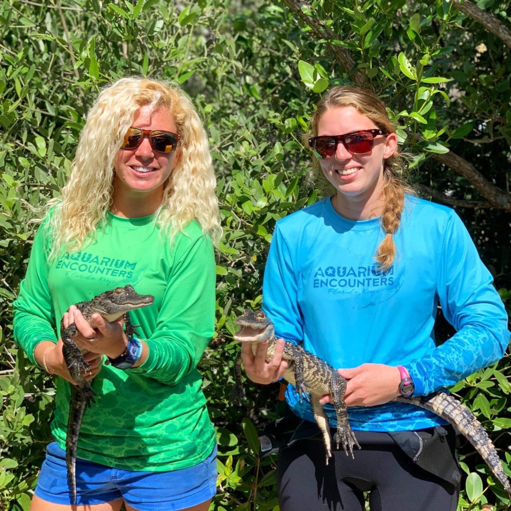 Picture of two women holding baby alligators