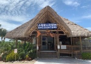 entry to aquarium