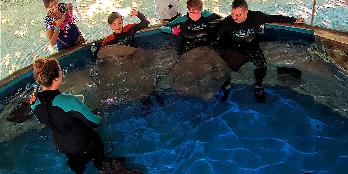 stingray-cover-homepage